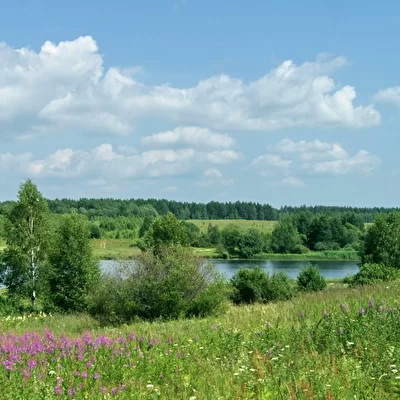 Перед окнами нашего дома прохладный зеленый луг