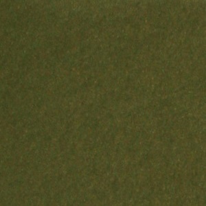 ткань Зеленая (кашемир)