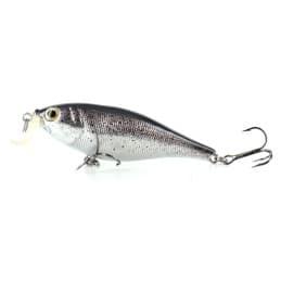 River2Sea TACTIC Shad 70F...