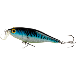 River2Sea TACTIC Shad 70F...