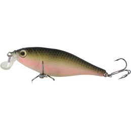 River2Sea TACTIC Shad 70F...