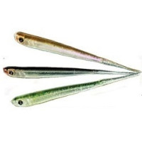 WORM Pintail 90 (90 mm)