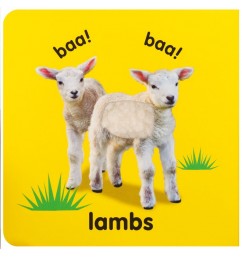 Baby Touch and Feel - Baby Animals