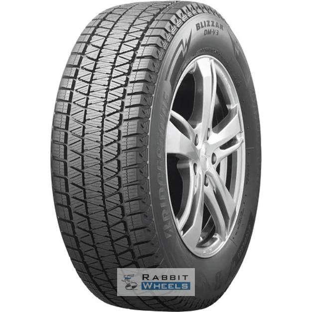 Bridgestone Blizzak DM-V3 225/60 R18 100S