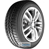 RoadX RXFrost WH01 245/70 R16 107T