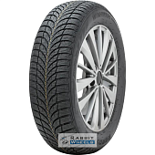 Roadstone Winguard Snow G WH2 225/55 R16 95H