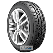 RoadX RXFrost WH01 195/55 R16 87V