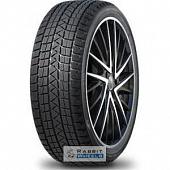Winter Pro TSS1