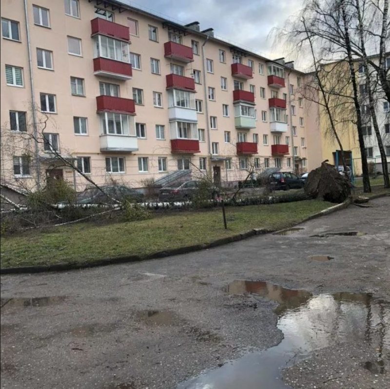 Без электрычнасці засталося восемь населеных пунктаў. Што моцны вецер яшчэ пашкодзіў на Гродзеншчыне