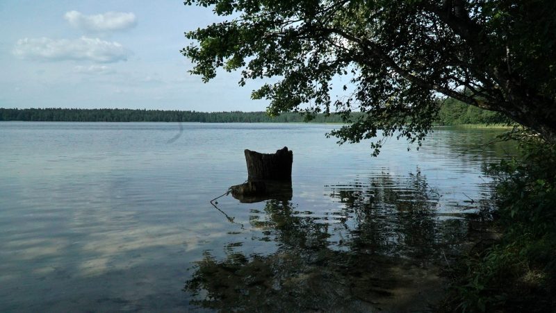 пляжи Гродно и Гродненского района, где можно купаться, запрет