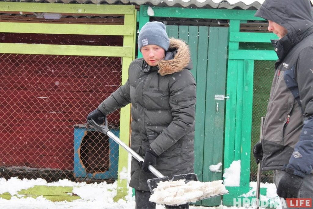 Спасли из сугробов: гродненцы помогли волонтерам расчистить заваленный снегом "домик для собак"