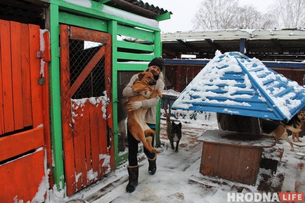 Спасли из сугробов: гродненцы помогли волонтерам расчистить заваленный снегом "домик для собак"