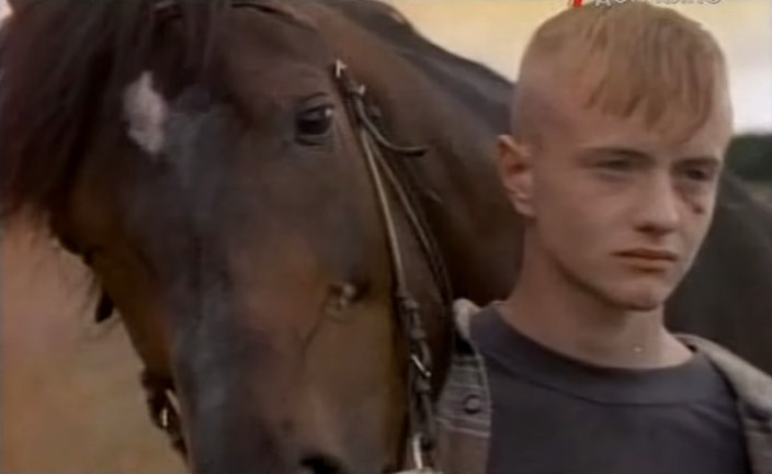 Блеск и нищета белорусского коневодства. Лошади приносят «золото», но на крышу и окна для них денег нет