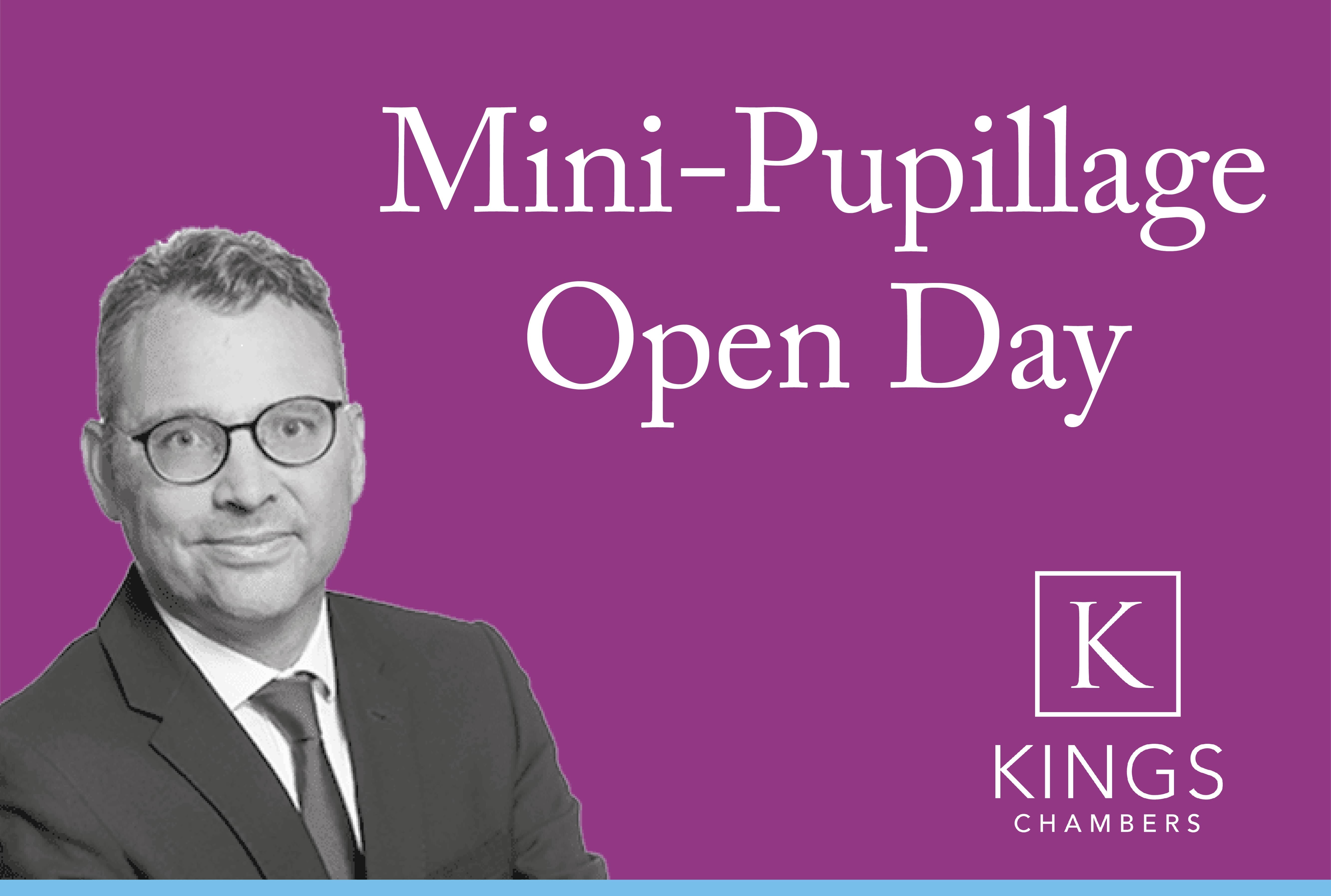 Kings Mini-Pupillage Open Day 2020