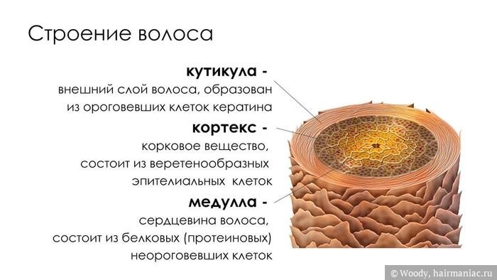 //cdn.optipic.io/site-102379/blog/chavo/chavo-o-vypryamlenii-volos/vypryamlenie-keratinom/d2e45c.jpg