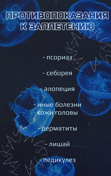 //cdn.optipic.io/site-102379/services/pletenie/pricheska-sfinks/image (520).png