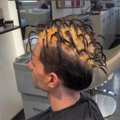 //cdn.optipic.io/site-102379/blog/okrashivaniya/okrashivanie-ghost-roots-prizrachnye-korni/photo_2025-11-26_14-22-53 (2).jpg