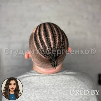 Мужские брейды на теменную зону, вид сзади, Минск