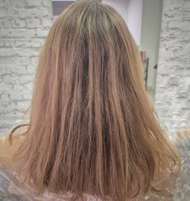 Шитьё седины длинные 50 секций