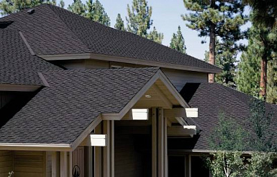 Коллекция Presidential Shake