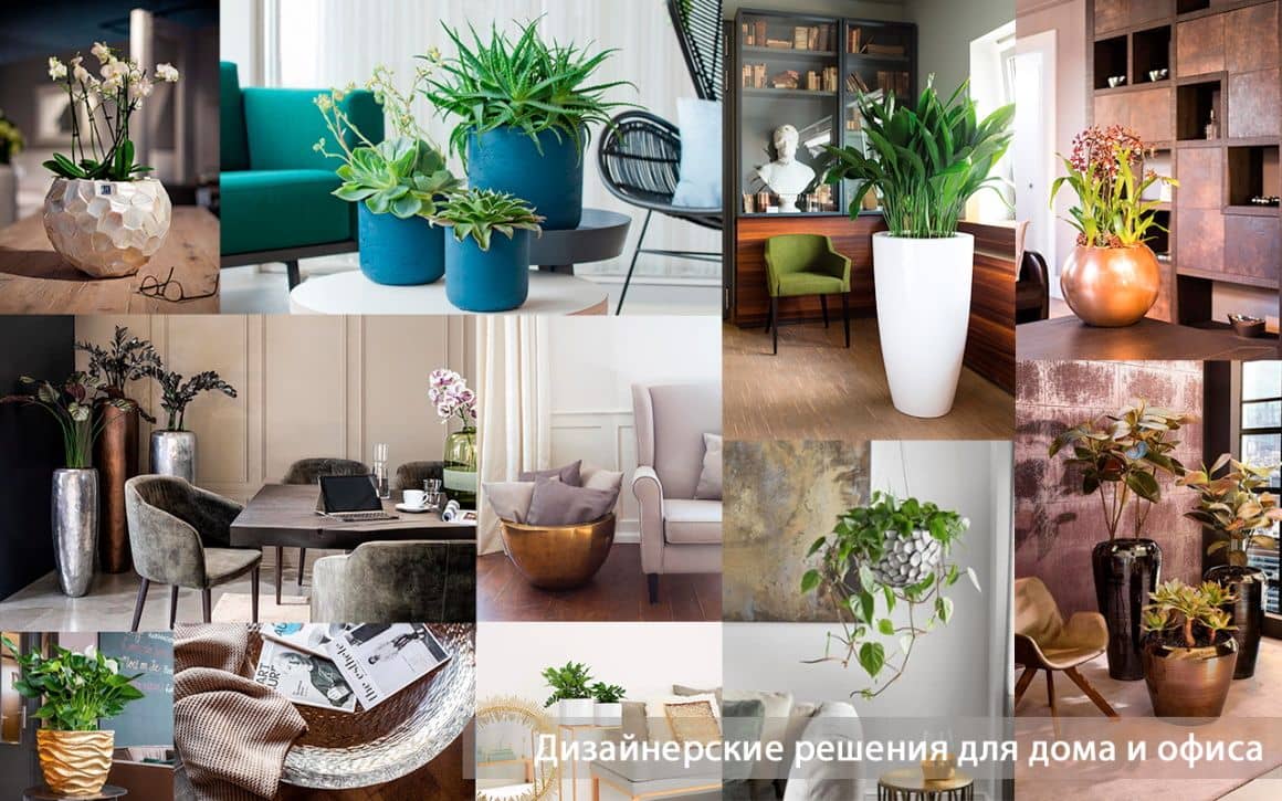 Дизайнерские кашпо для дома и офиса, купить дизайнерское кашпо в Москве, купить дизайнерское кашпо в Санкт-Петербурге
