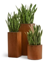 Кашпо TREEZ Corten Steel Кашпо TREEZ Corten Steel