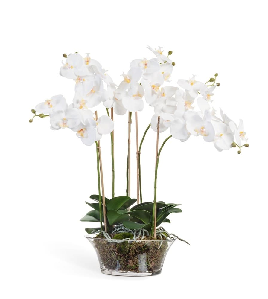 Орхидея Фаленопсис белая в низкой круглой вазе с мхом, корнями, землёй (искусственная) Treez Collection - фото 8139