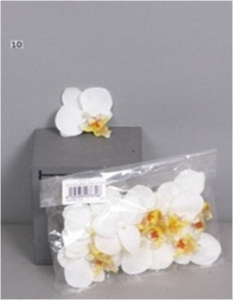 Орхидеи кремовые цветы 12 шт.   (искусственная) GL