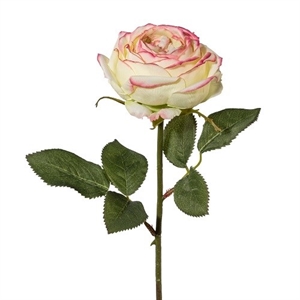 Роза кремово-розовая (искусственная) GL