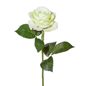 Роза H53 см бело-зелёная (искусственная) GL