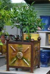 {{photo.Alt || photo.Description || 'Куб де Бакс Шато уличный (Anduze)'}}