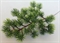 Ветка ели без шишек (зелёная) искусственная Treez Collection - фото 13488