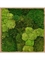 Картина из мха bamboo 30% ball moss 80/80 (natural) and 70% flat moss (искусственная) Nieuwkoop Europe - фото 14667