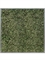 Картина из мха mdf ral 7016 satin gloss 100% reindeer moss 100/100 (dark green) искусственная Nieuwkoop Europe - фото 14671