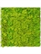 Картина из мха mdf ral 9010 satin gloss 100% reindeer moss 100/100 (spring green) искусственная Nieuwkoop Europe - фото 14685
