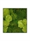 Картина из мха stiel l ral 7016 30% ball- and 70% flat moss 50/50 (искусственная) Nieuwkoop Europe - фото 14695