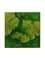 Картина из мха stiel l ral 9010 50% ball- and 50% flat moss 50/50 (искусственная) Nieuwkoop Europe - фото 14703