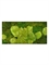 Картина из мха stiel l ral 9010 50% ball- and 50% flat moss 100/50 (искусственная) Nieuwkoop Europe - фото 14705