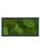 Картина из мха stiel ral 7016 mat 30% ball- and 70% flat moss 100/50 (искусственная) Nieuwkoop Europe - фото 14707