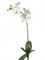 Орхидея Фаленопсис белая с листьями (искусственная) Nieuwkoop Europe - фото 34167