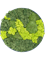 Картина из мха refined pine green 30% ball moss 70% reindeer moss 50/5 (mix) - фото 36349