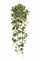 Эйер Саксифрага бело-зеленая ампельная (искусственная) Treez Collection - фото 8042