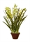 Орхидея Цимбидиум куст большой св.зелен в кашпо (искусственная) Treez Collection - фото 8128