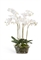 Орхидея Фаленопсис белая в низкой круглой вазе с мхом, корнями, землёй (искусственная) Treez Collection - фото 8138
