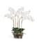 Орхидея Фаленопсис белая в низкой круглой вазе с мхом, корнями, землёй 70 (искусственная) Treez Collection - фото 8139