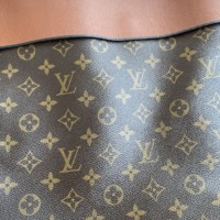 LV сумка Tuilerelies Hobo