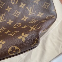 LV сумка Tuilerelies Hobo