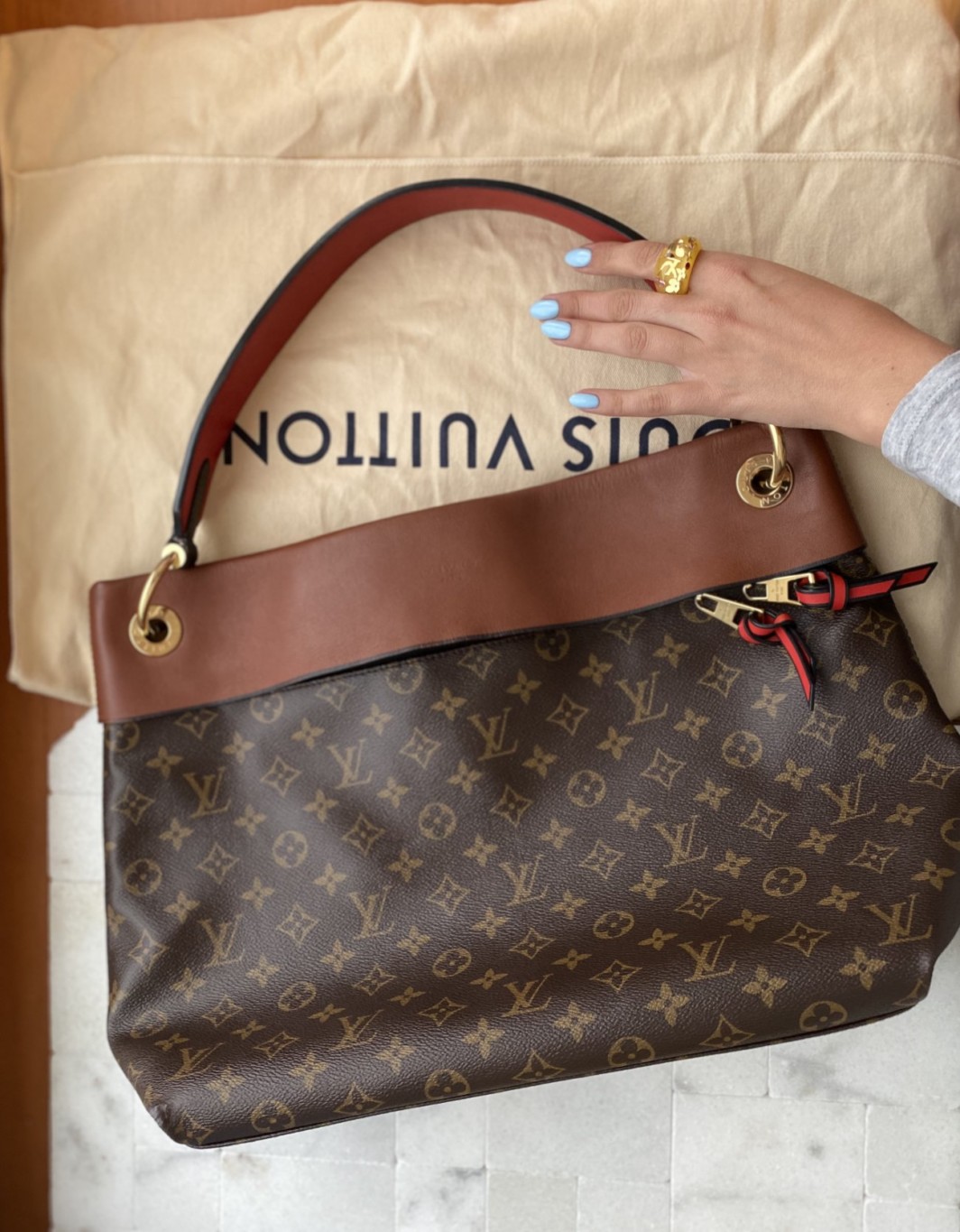 LV сумка Tuilerelies Hobo