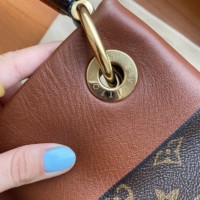 LV сумка Tuilerelies Hobo