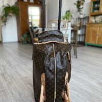 Louis Vuitton дорожная сумка-чемодан Eole
